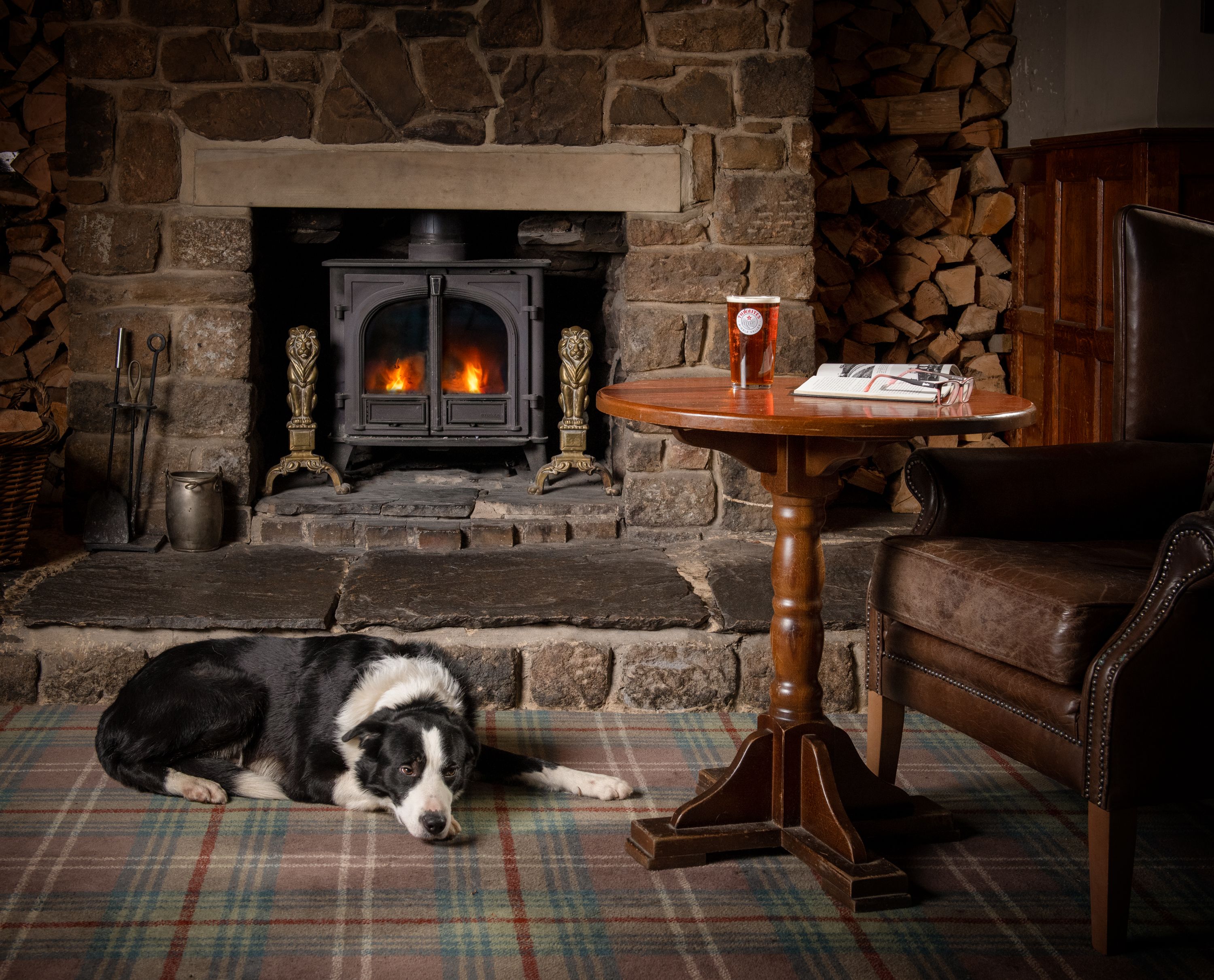 sheep dog by fire golden lion settle