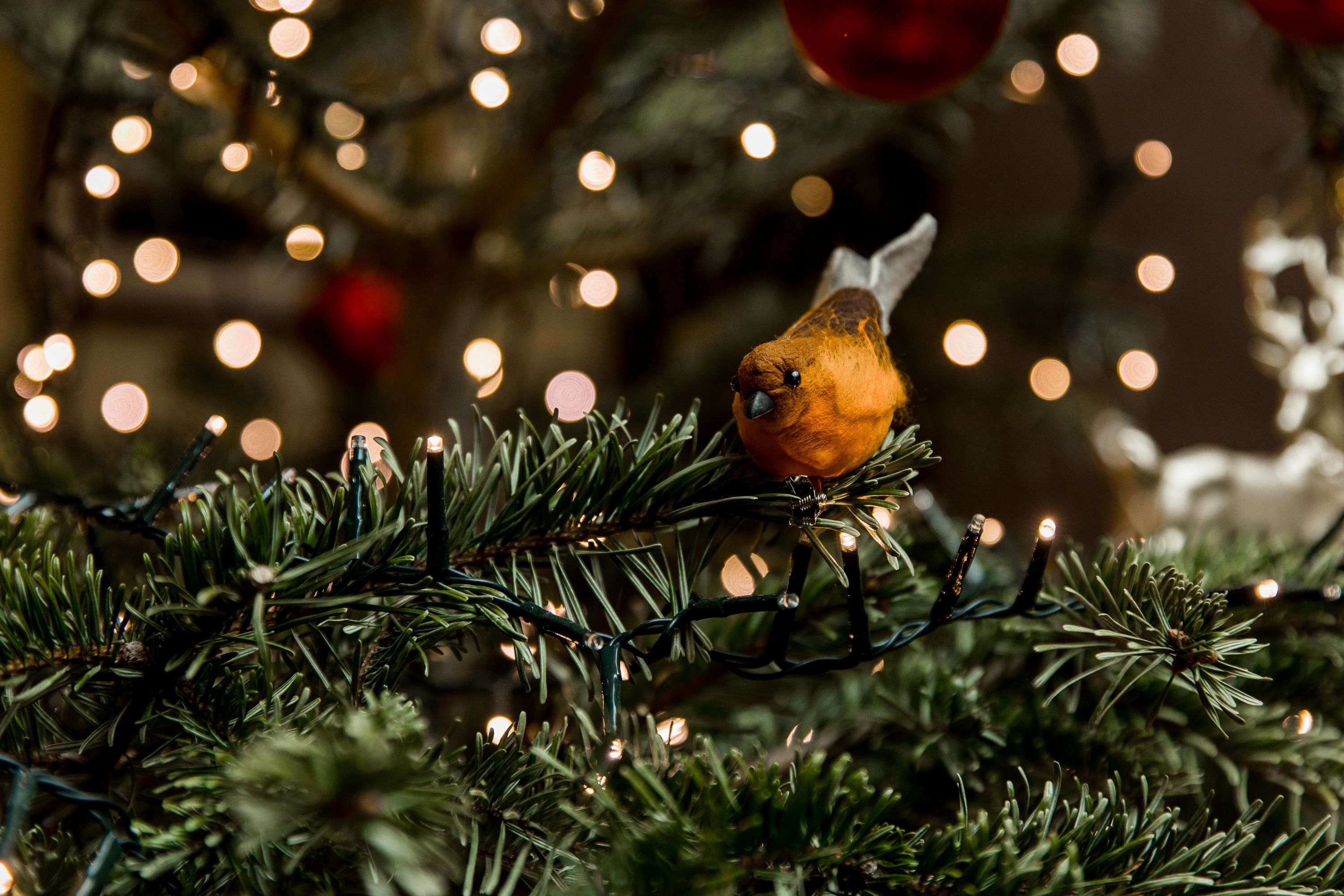 christmas tree lit up with bird christmas decoration