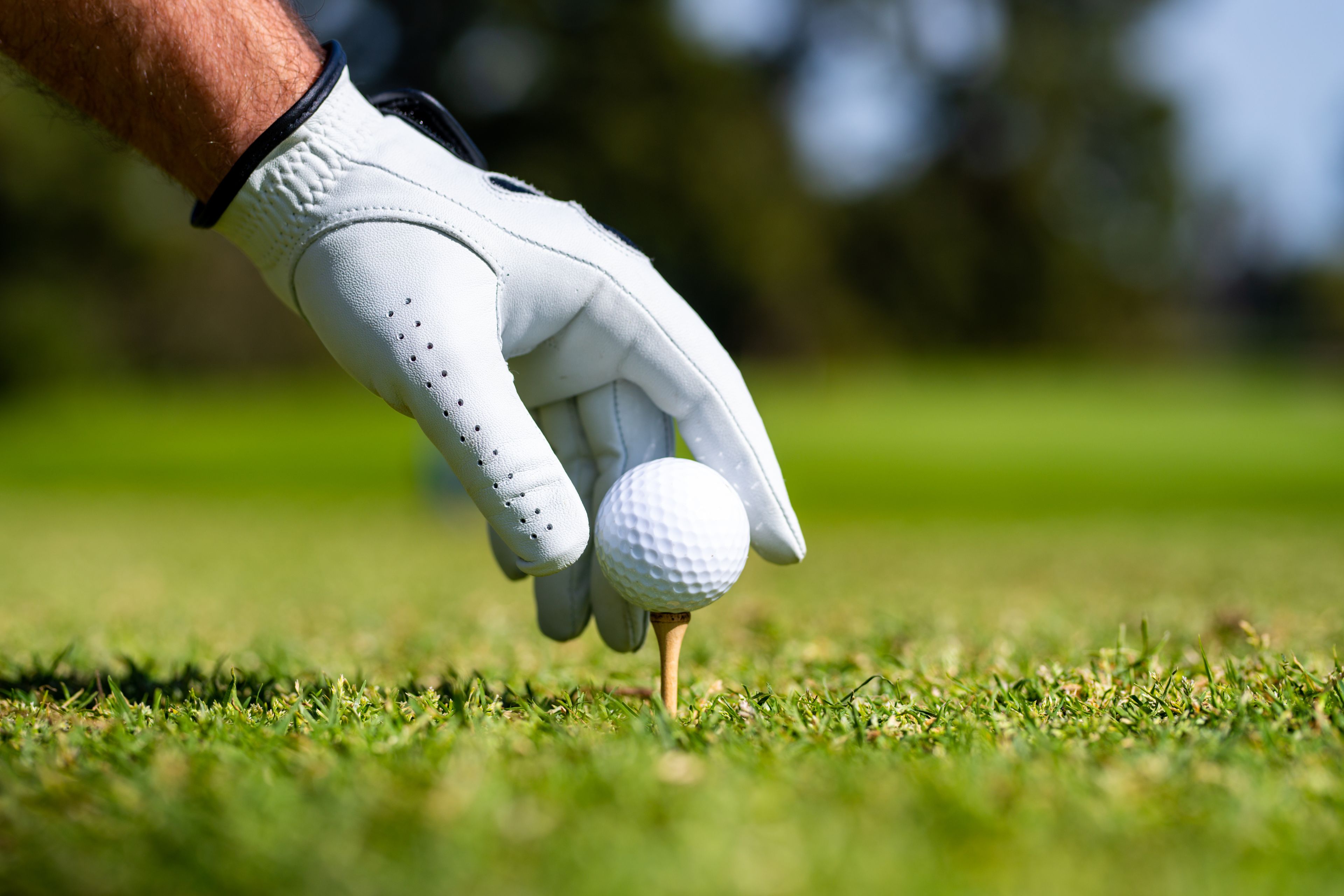 golf ball being placed on a tee